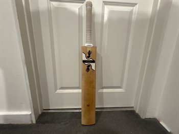 Kids cricket bat 